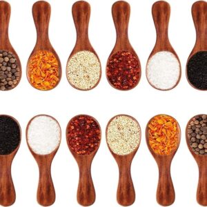 aashope Small Wooden Salt Spoon Set – 12 Pack Mini Wooden Spoons with Short Handle for Spice Jars, Masala, Sugar, Honey, Coffee, Tea & Condiments   Mini Wooden Spoon Set of 12 – Small Wooden Spoons with Short Handle for Spice Jars & Kitchen Use